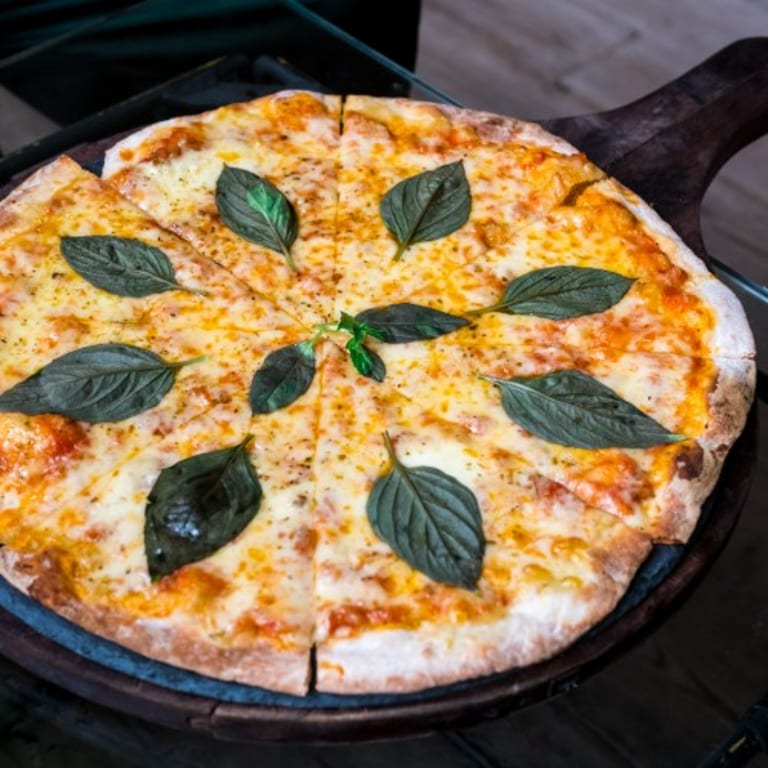 Delicious Cheese Pizza Options